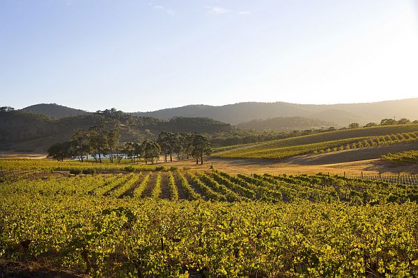 Winery - Pyrenees