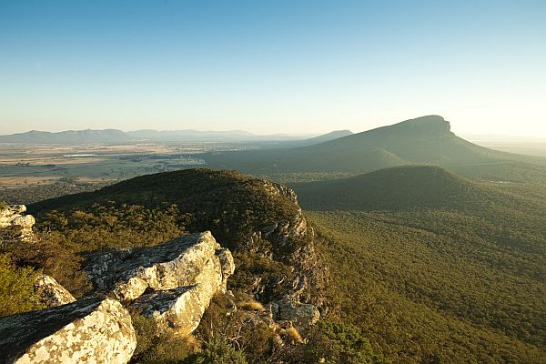 Top of Mount Sturgeon